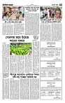 Shadin Desh(4)